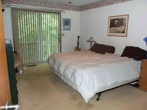 302 Briar Ln, Morris, IL 60450 photo 10