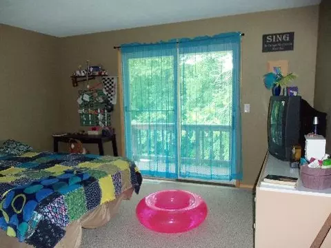 302 Briar Ln, Morris, IL 60450 photo 12