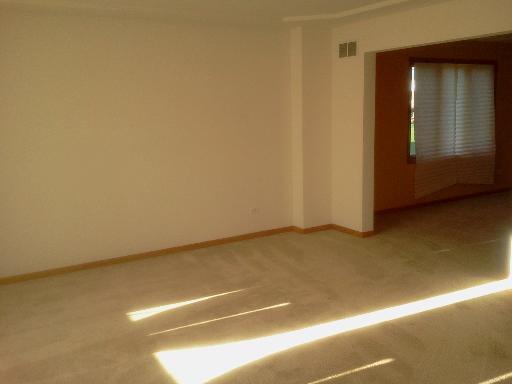 Undisclosed, Matteson, IL 60443 photo 3