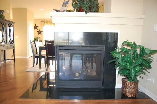 1001 Alberta Rd, Elgin, IL 60124 photo 9