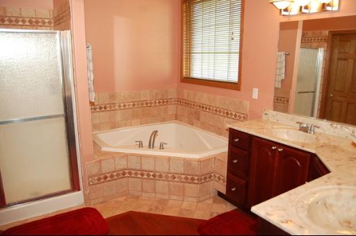 245 Maple St, Beecher, IL 60401 photo 10