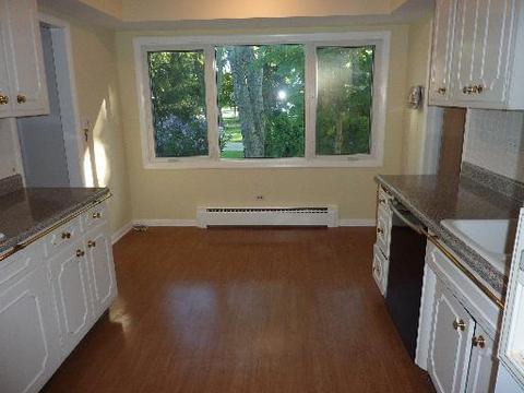 1205 E Linden Ln, Mount Prospect, IL 60056 photo 9