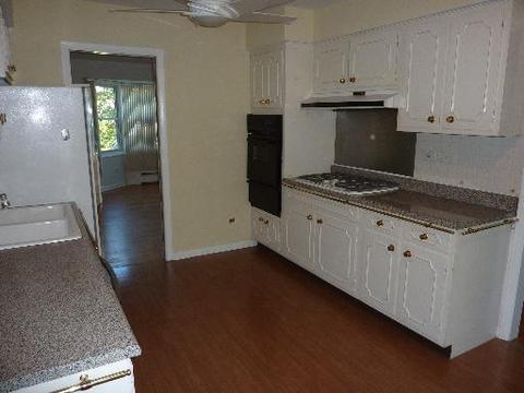 1205 E Linden Ln, Mount Prospect, IL 60056 photo 8