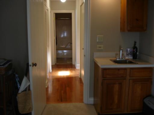 Undisclosed, Naperville, IL 60565 photo 10
