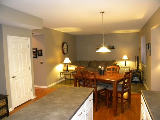 12946 Summer House Dr, Plainfield, IL 60585 photo 5