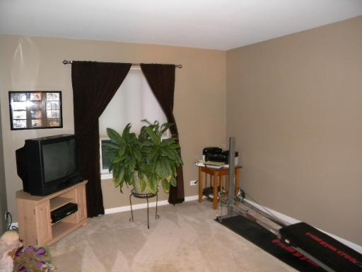 12946 Summer House Dr, Plainfield, IL 60585 photo 14
