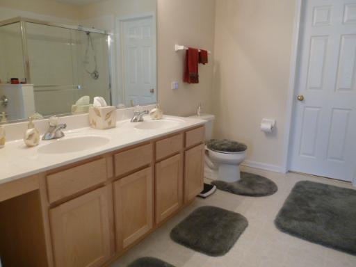2262 Scott Ln, Aurora, IL 60502 photo 8