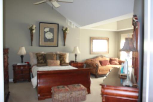 11907 Winterberry Ln, Plainfield, IL 60585 photo 12