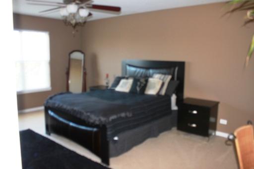 11907 Winterberry Ln, Plainfield, IL 60585 photo 13