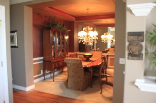 11907 Winterberry Ln, Plainfield, IL 60585 photo 6