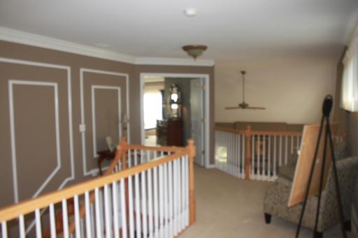 11907 Winterberry Ln, Plainfield, IL 60585 photo 10
