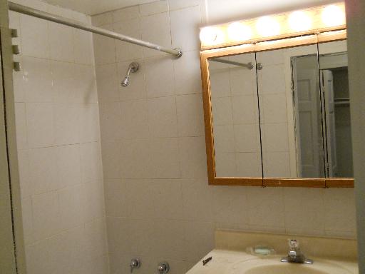 11050 S Artesian Ave #1a, Chicago, IL 60643 photo 8