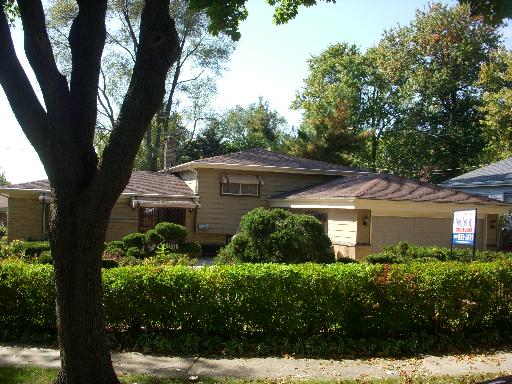 124 N Adams Dr, Addison, IL 60101 photo 1