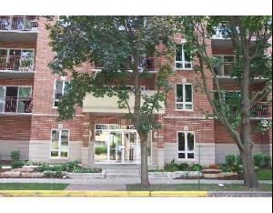1349 E Washington St #209A, Des Plaines, IL 60016 photo 1