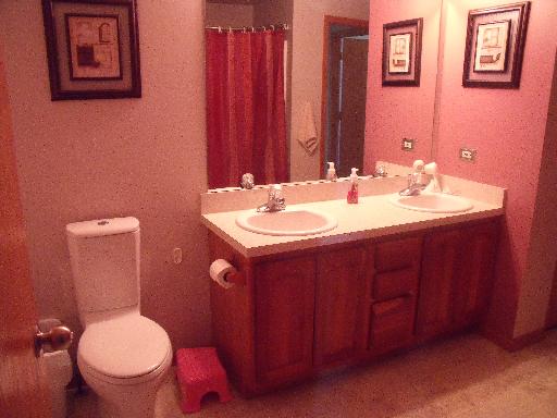 1203 Alene Dr, Plainfield, IL 60544 photo 12