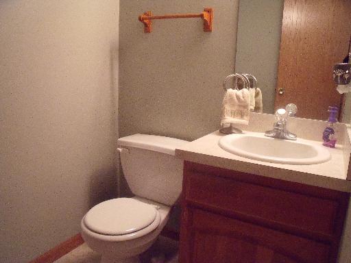 1203 Alene Dr, Plainfield, IL 60544 photo 15
