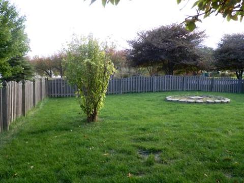 20929 W Ardmore Cir, Plainfield, IL 60544 photo 13