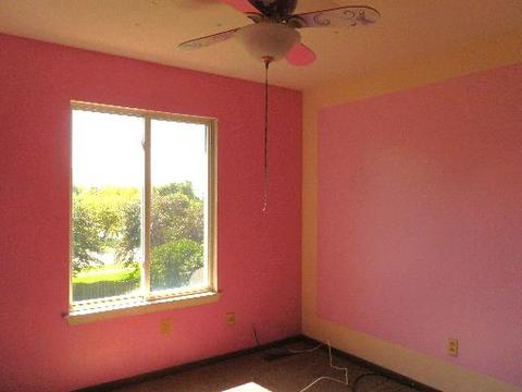 20929 W Ardmore Cir, Plainfield, IL 60544 photo 8