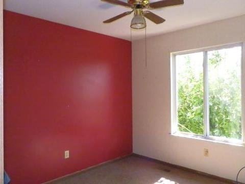 20929 W Ardmore Cir, Plainfield, IL 60544 photo 7