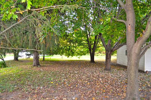 114 Pulaski St, Spring Valley, IL 61362 photo 4