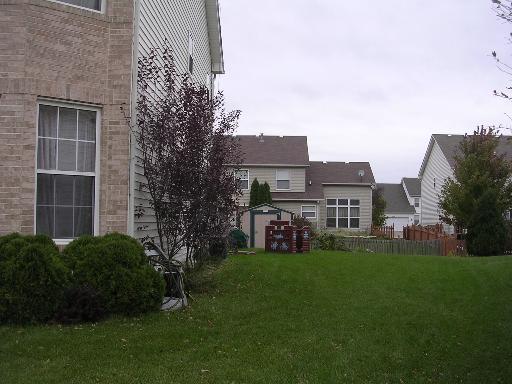 7313 Marley Cir, Plainfield, IL 60586 photo 3