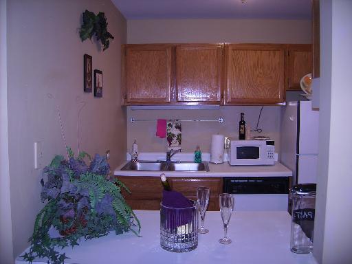 3255 Kirchoff Rd #106, Rolling Meadows, IL 60008 photo 3