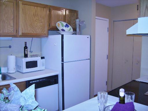 3255 Kirchoff Rd #106, Rolling Meadows, IL 60008 photo 5