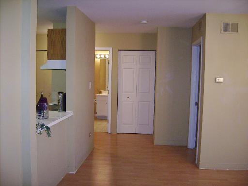 3255 Kirchoff Rd #106, Rolling Meadows, IL 60008 photo 7