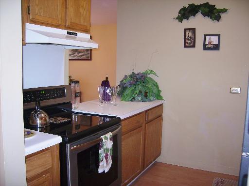 3255 Kirchoff Rd #106, Rolling Meadows, IL 60008 photo 4