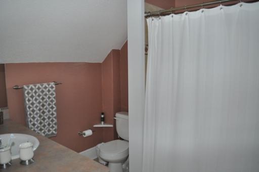 714 Walnut Ave, Elgin, IL 60123 photo 14