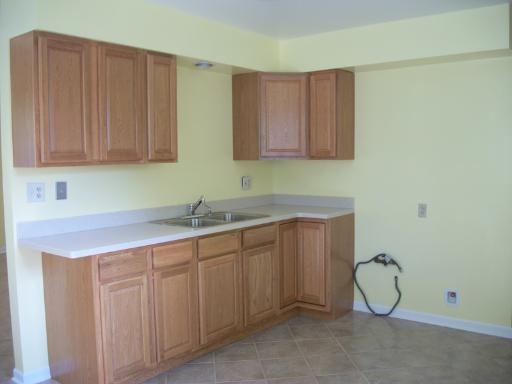 313 Eastern Ave, Aurora, IL 60505 photo 11