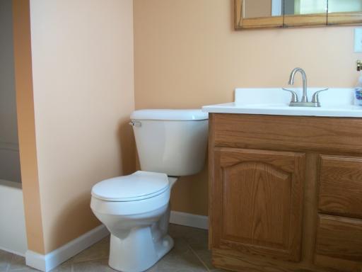 313 Eastern Ave, Aurora, IL 60505 photo 8