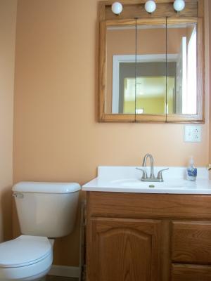 313 Eastern Ave, Aurora, IL 60505 photo 15