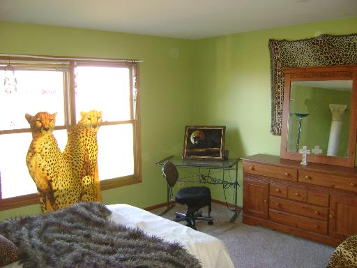 520 Flora Dr, Algonquin, IL 60102 photo 10