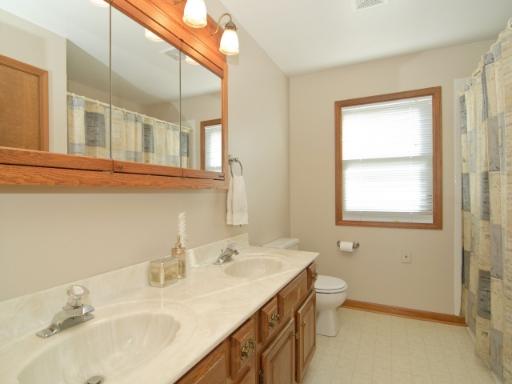39 W249 Chisholm Trl, Elgin, IL 60123 photo 13
