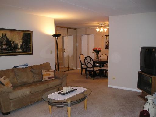 400 Manda Ln #418, Wheeling, IL 60090 photo 2