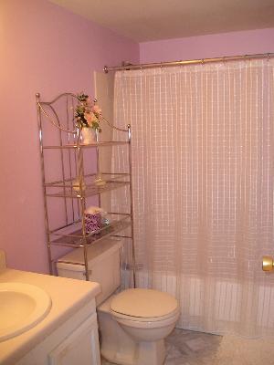 400 Manda Ln #418, Wheeling, IL 60090 photo 6
