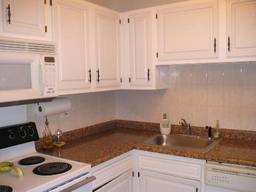 400 Manda Ln #418, Wheeling, IL 60090 photo 4
