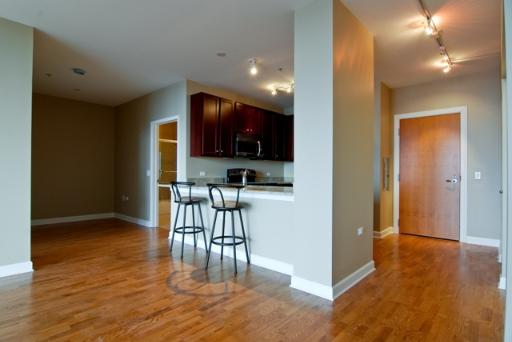 100 E 14th St #3209, Chicago, IL 60605 photo 6