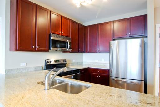 100 E 14th St #3209, Chicago, IL 60605 photo 4