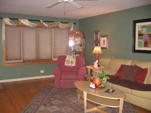 809 S Spring Rd, Elmhurst, IL 60126 photo 4