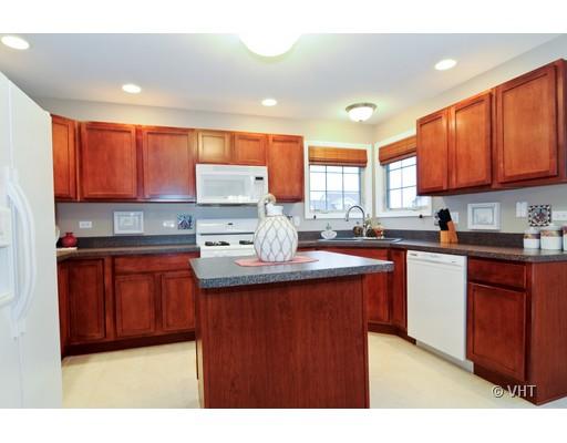 1699 Windscape Ln, Beecher, IL 60401 photo 4