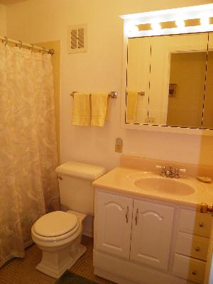 353 S River Rd, Naperville, IL 60540 photo 11