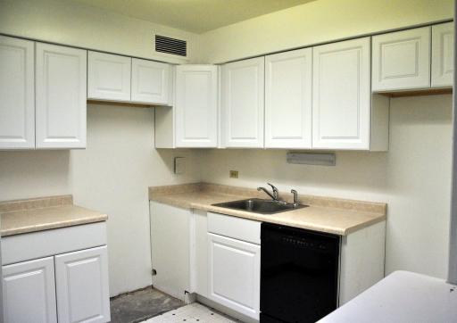 30 Elm St #19c, Chicago, IL 60611 photo 4