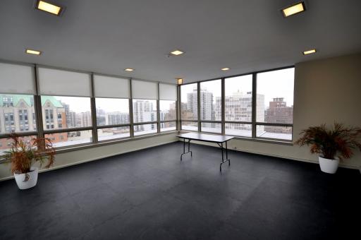 30 Elm St #19c, Chicago, IL 60611 photo 9