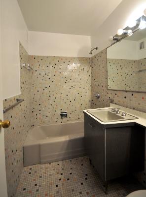 30 Elm St #19c, Chicago, IL 60611 photo 7