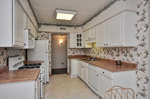 1327 E Washington St #402, Des Plaines, IL 60016 photo 3