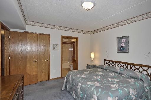 1327 E Washington St #402, Des Plaines, IL 60016 photo 10