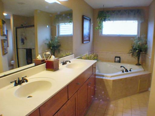 26752 Lindengate Cir, Plainfield, IL 60585 photo 9