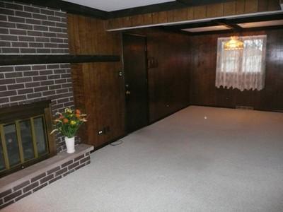 507 Chestnut Ln, Beecher, IL 60401 photo 3